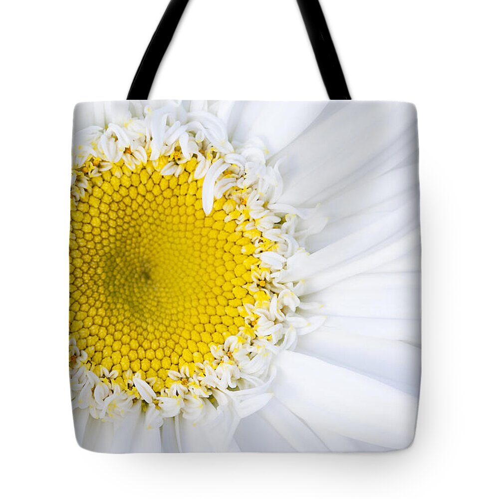 Daisy Tote Bag featuring the photograph Innocence by Patty Colabuono