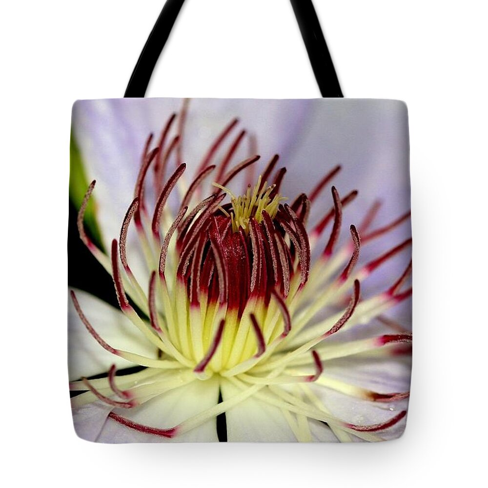 Flower Tote Bag featuring the photograph Inside a Clematis by Karen Silvestri