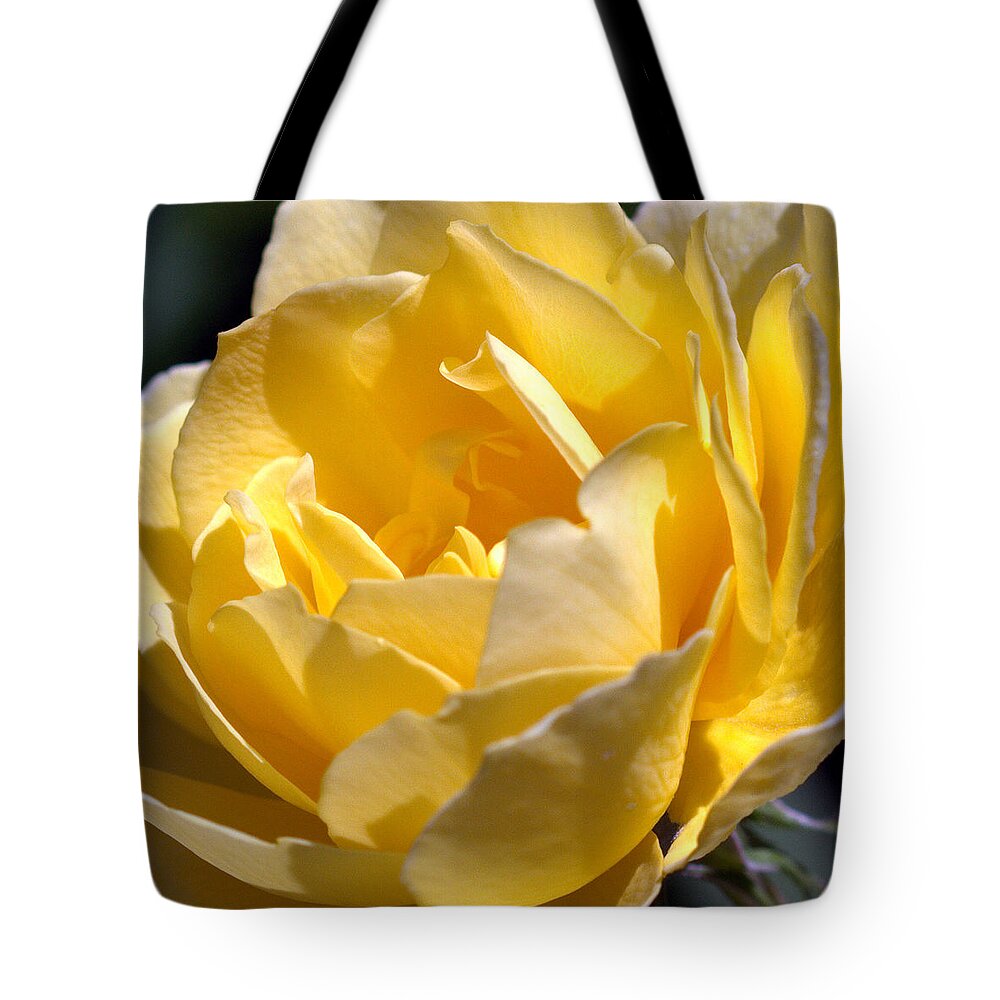 Rose Tote Bag featuring the photograph Inside the Yellow Rose by Farol Tomson