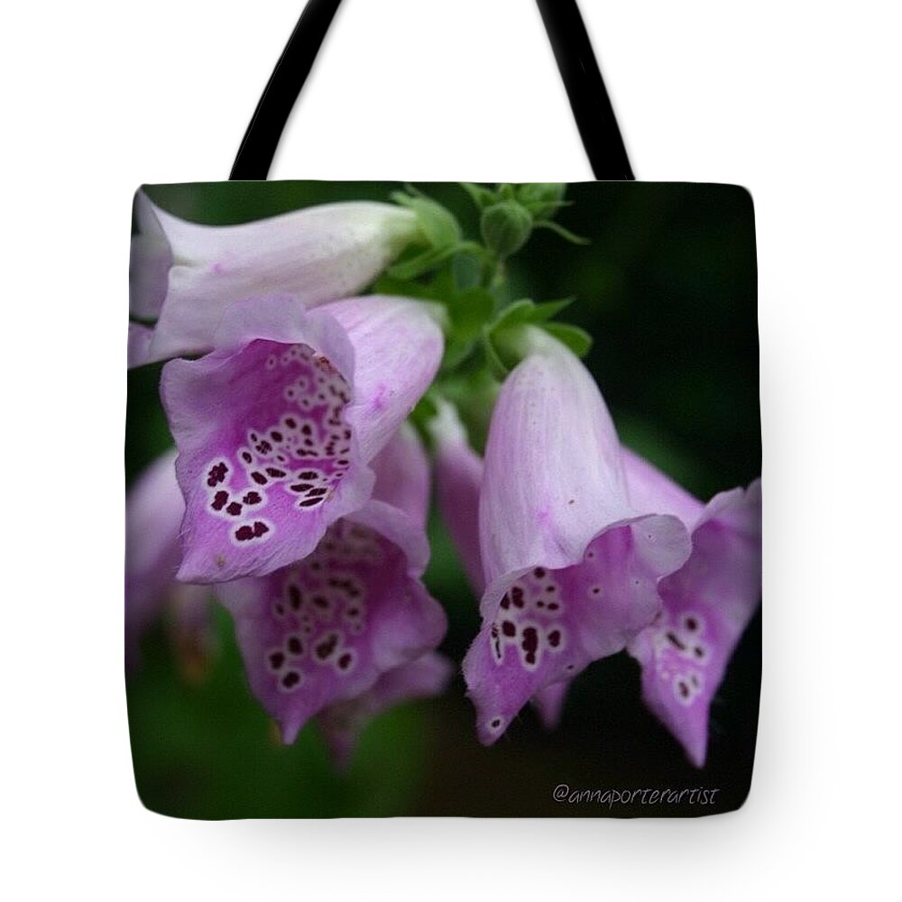Rsa_nature_flowers Tote Bag featuring the photograph Inspiration, The Original Photo Of by Anna Porter