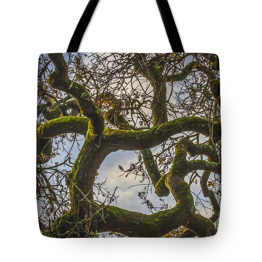 Intertwined Tote Bag featuring the photograph Intertwined by Mitch Shindelbower