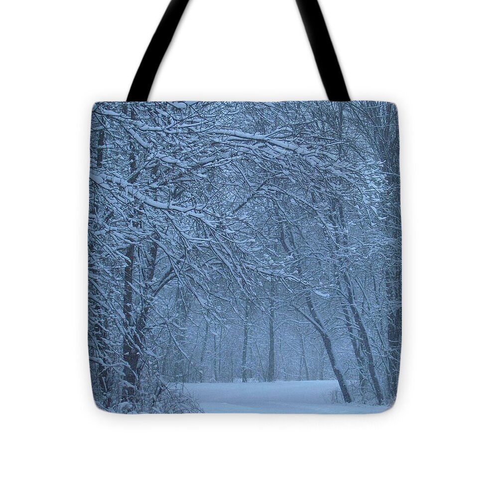 Winter Tote Bag featuring the photograph Into the Icy Blue by Lori Frisch