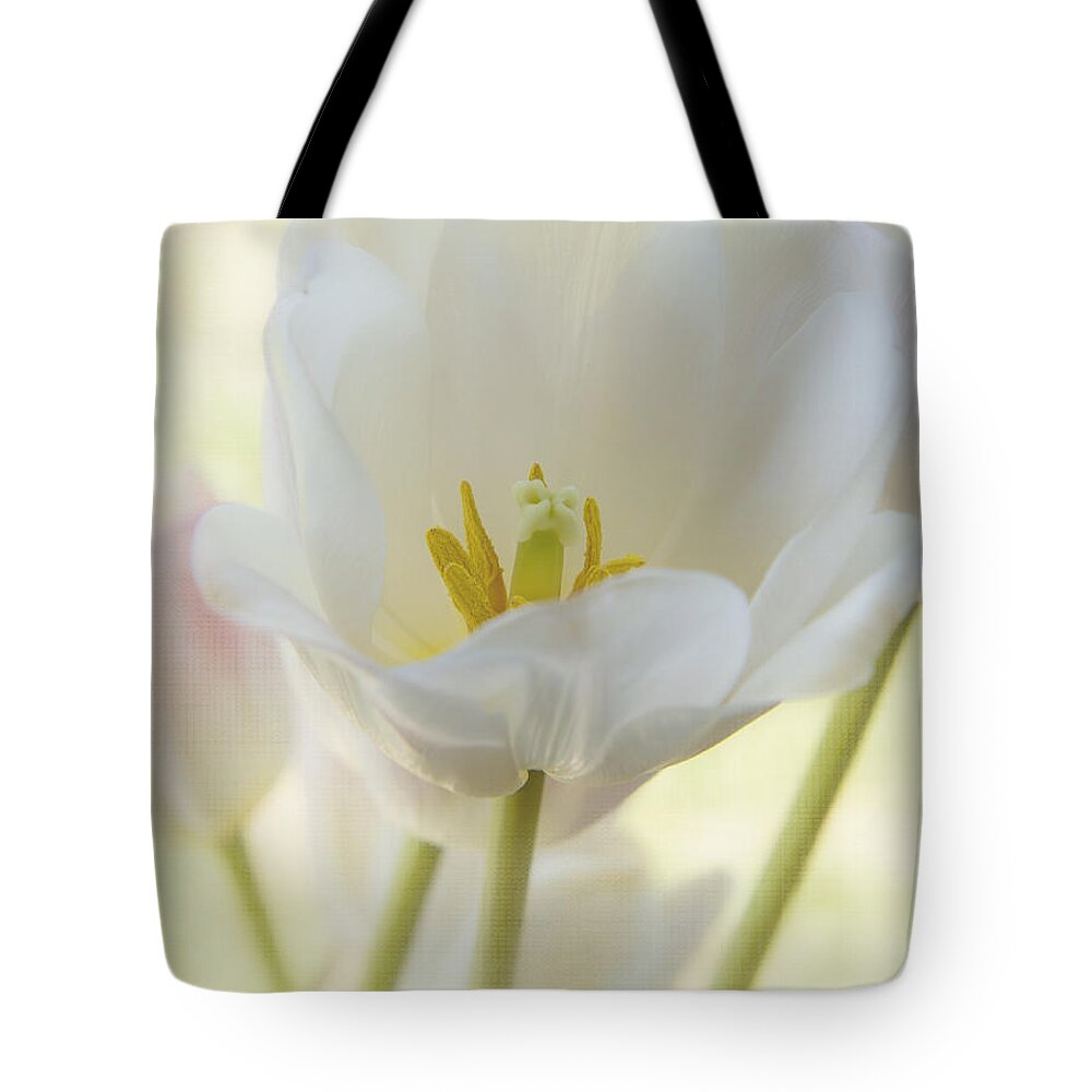 White Flower Tote Bag featuring the photograph Into the Light by Kim Hojnacki