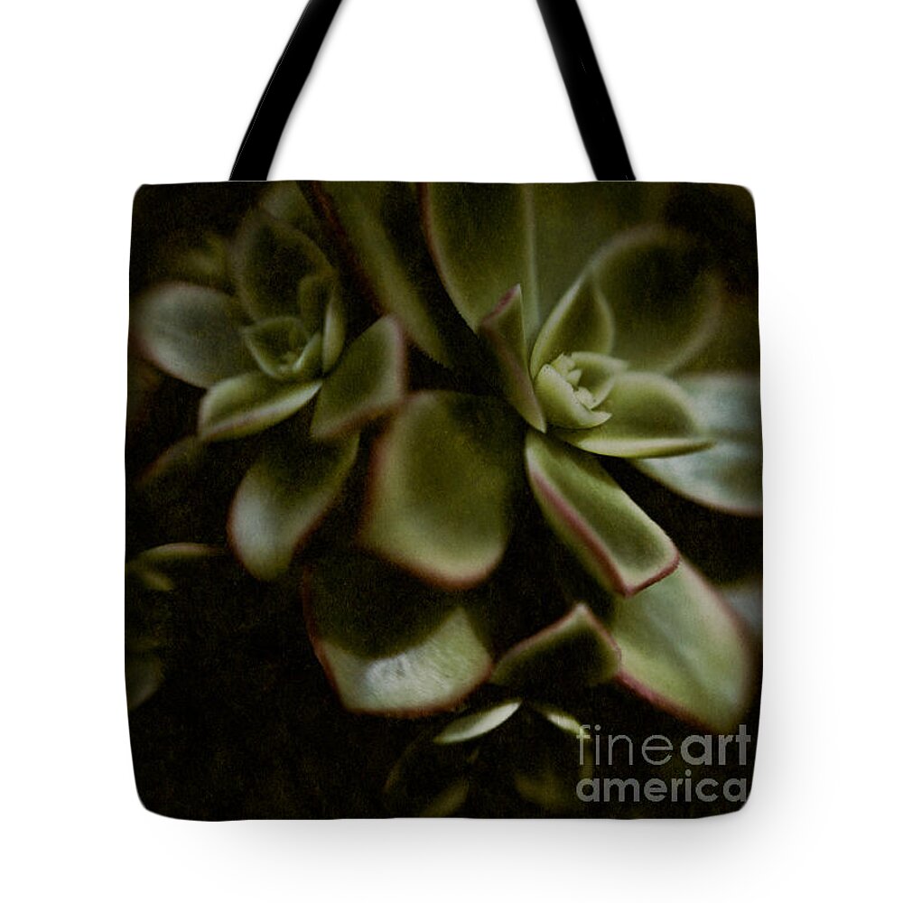 Abstract Tote Bag featuring the photograph Into the Light by Venetta Archer