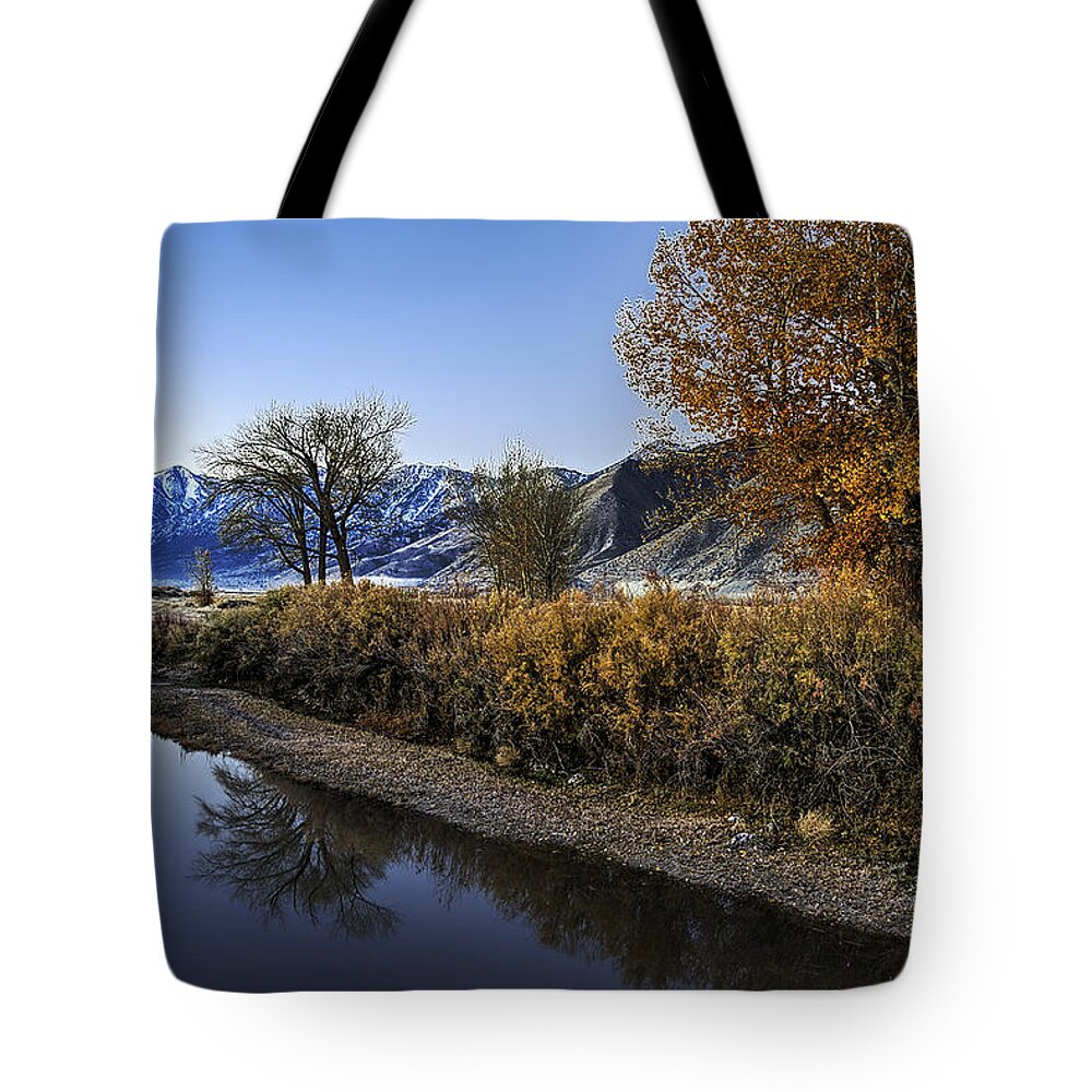 Blue Tote Bag featuring the photograph Forebearance by Maria Coulson