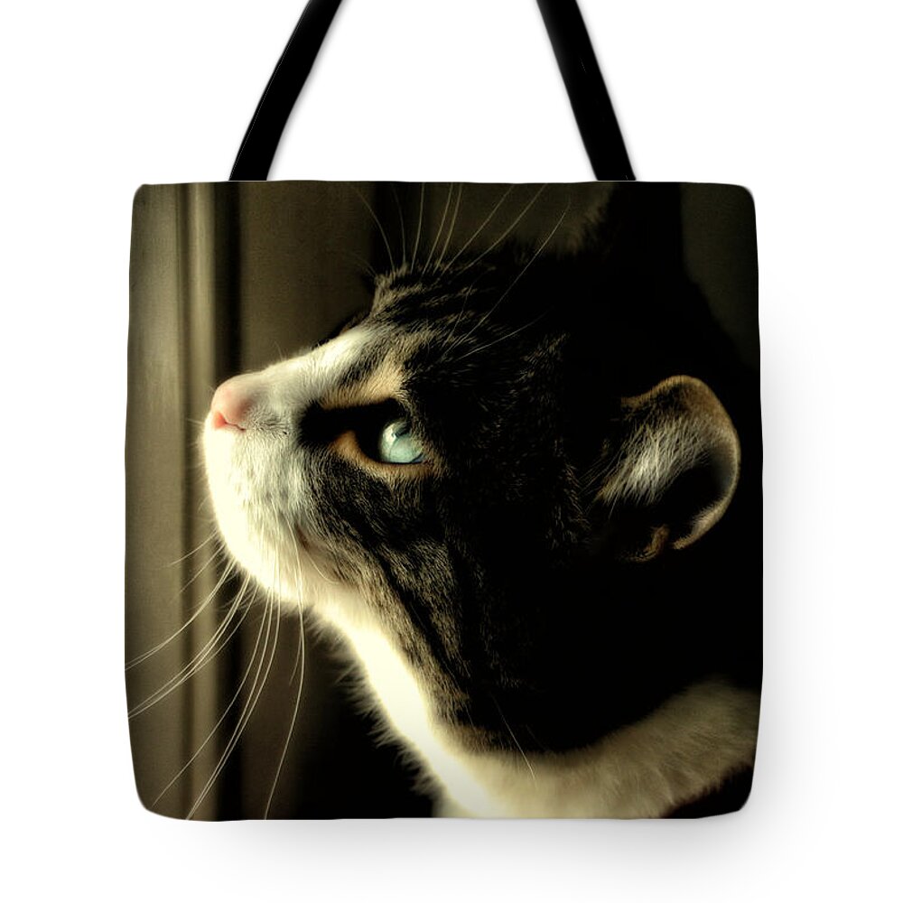 Cat Tote Bag featuring the photograph Intrigued by Shari Nees