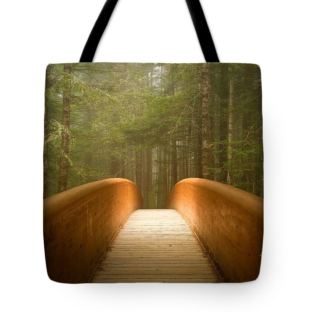 Bridge Tote Bag featuring the photograph Invitation by Alice Cahill