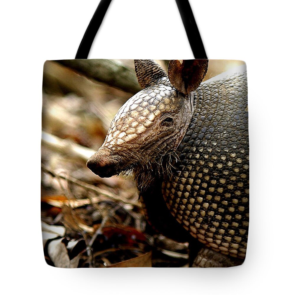 Iphone Tote Bag featuring the photograph Nine Banded Armadillo by Robert Frederick