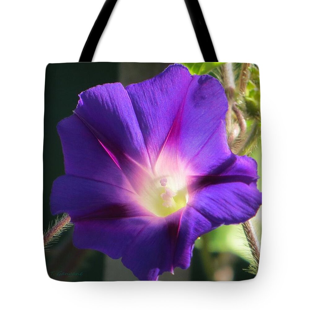 Ornament On Fence Tote Bag featuring the photograph Ipomoea Nil by Sonali Gangane