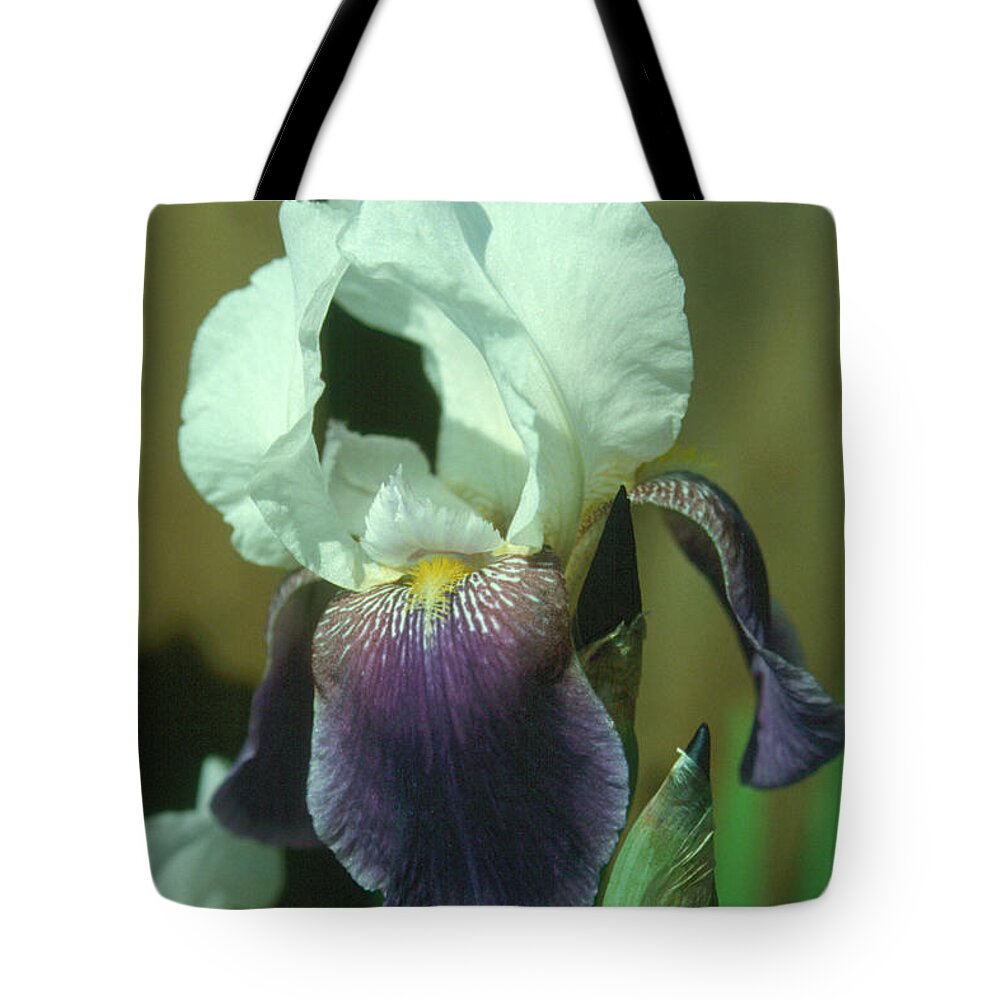 Flower Tote Bag featuring the photograph Iris 3 by Andy Shomock