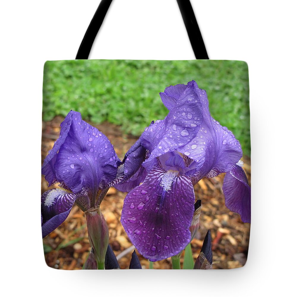 Purple Iris Tote Bag featuring the photograph Iris After Rain by KATIE Vigil