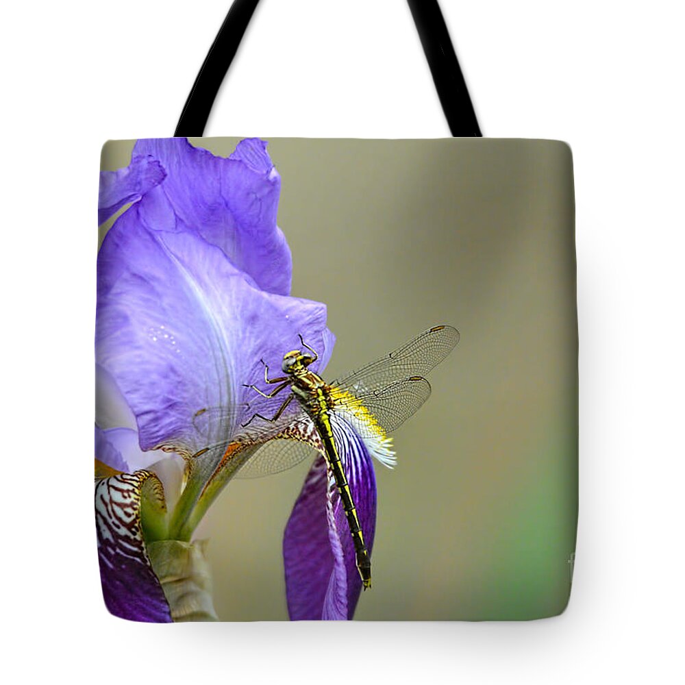 Iris Germanica Tote Bag featuring the photograph Iris and the Dragonfly 2 by Jai Johnson