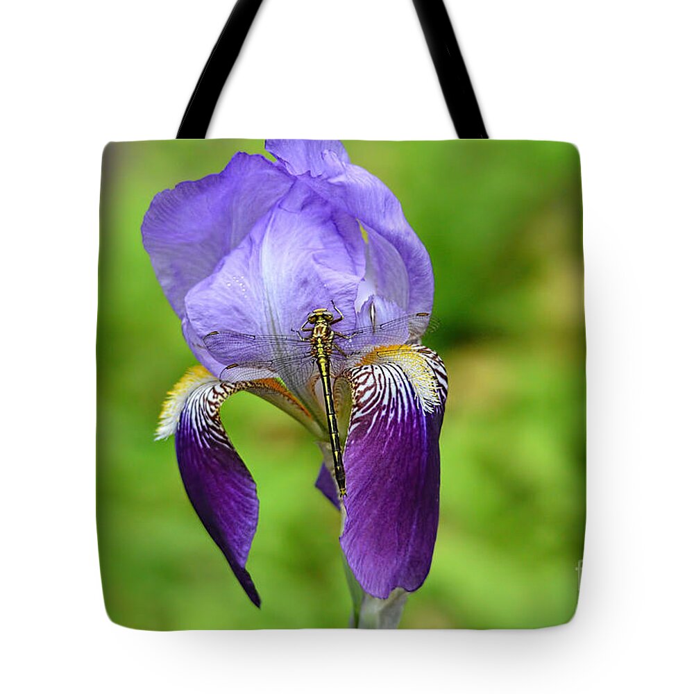 Iris Germanica Tote Bag featuring the photograph Iris and the Dragonfly 3 by Jai Johnson