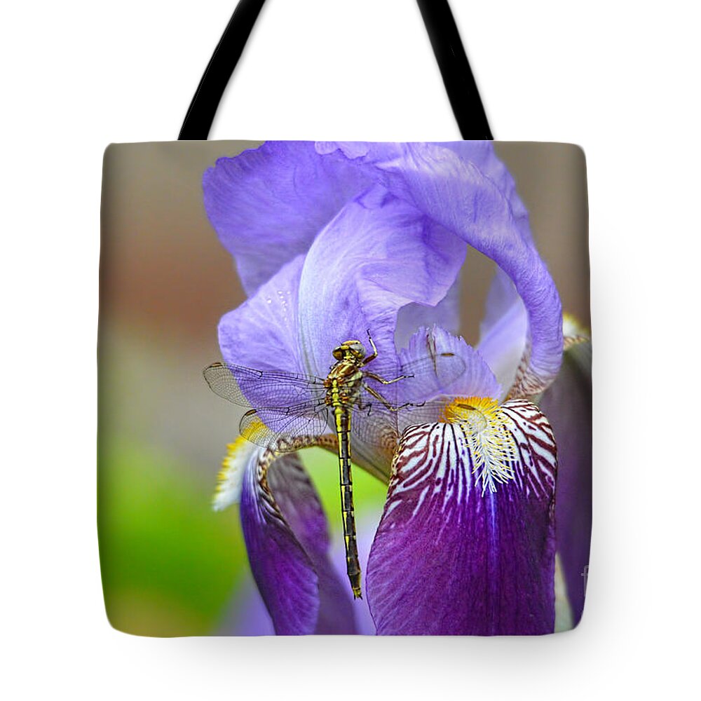Iris Germanica Tote Bag featuring the photograph Iris and the Dragonfly 4 by Jai Johnson