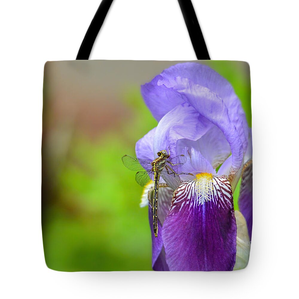 Iris Germanica Tote Bag featuring the photograph Iris and the Dragonfly 5 by Jai Johnson