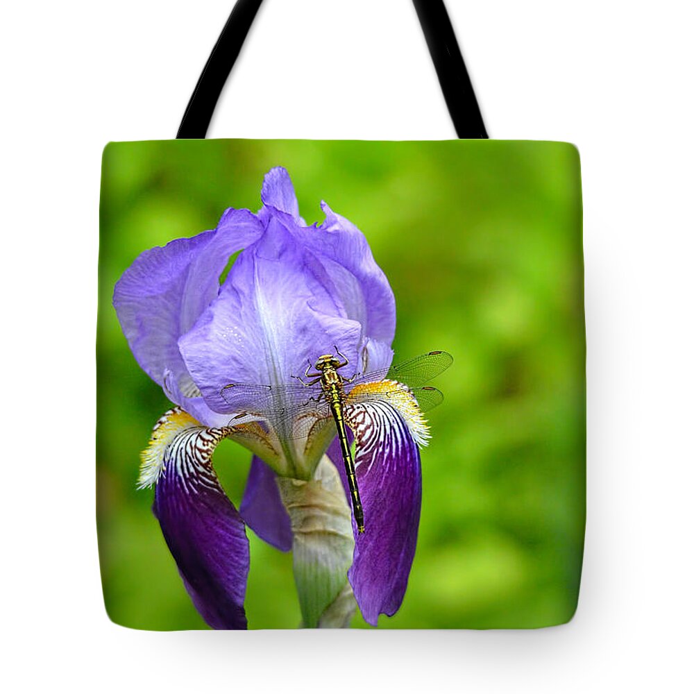 Iris Germanica Tote Bag featuring the photograph Iris and the Dragonfly 7 by Jai Johnson