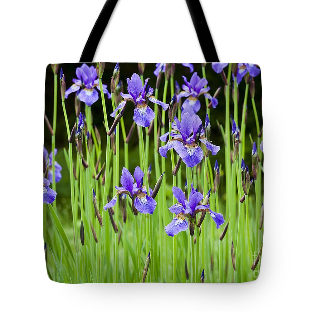 Iris Tote Bag featuring the photograph Iris Garden by Alan L Graham
