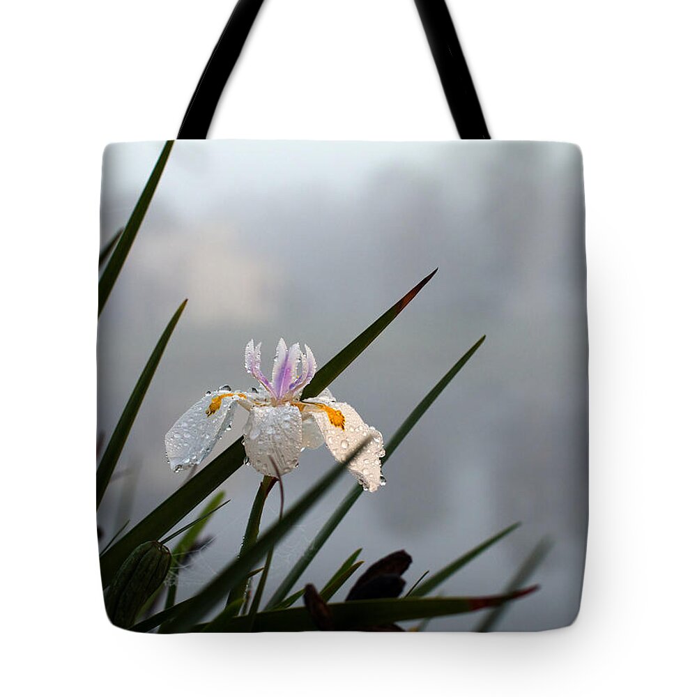 Iris Tote Bag featuring the photograph Iris in Fog by Farol Tomson
