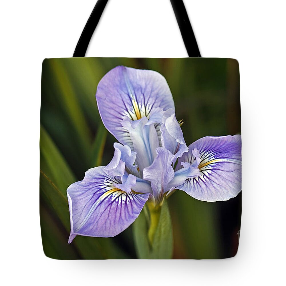 Kate Brown Tote Bag featuring the photograph Iris by Kate Brown