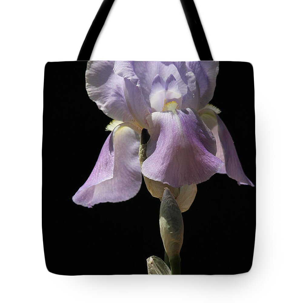 Iris Tote Bag featuring the photograph Iris by Trina Ansel