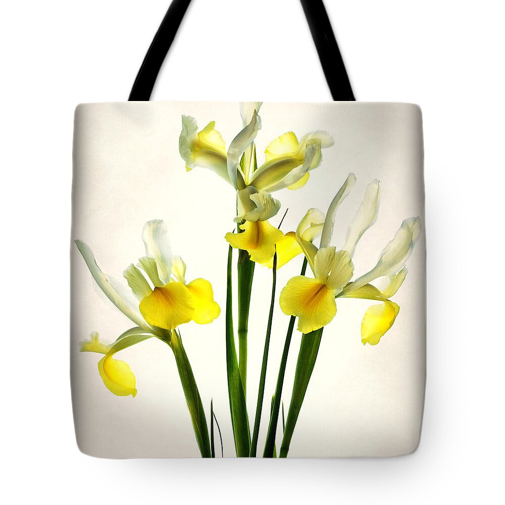 Yellow Tote Bag featuring the photograph Irises by Carol Eade
