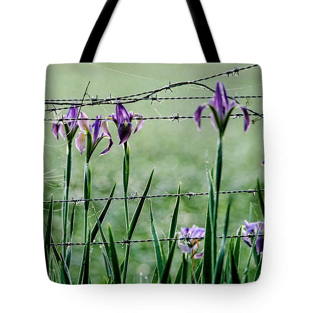 Floral Tote Bag featuring the photograph Irises by Matthew Pace