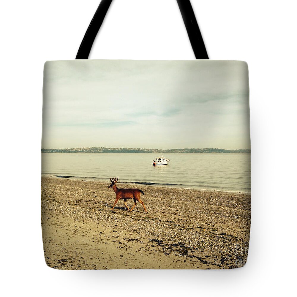 Deer Tote Bag featuring the photograph Island Deer by LeLa Becker