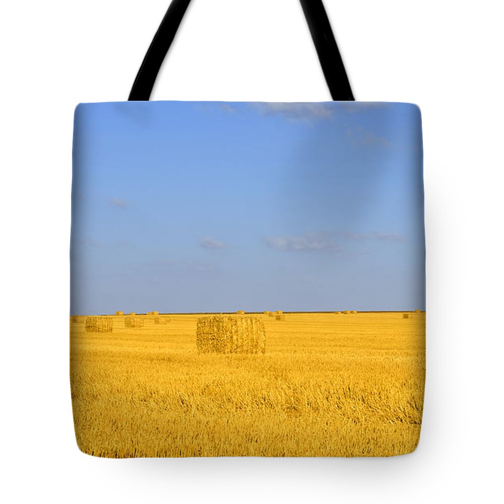 Straw Tote Bag featuring the photograph Israel Negev HaBesor landscape by Ezra Zahor