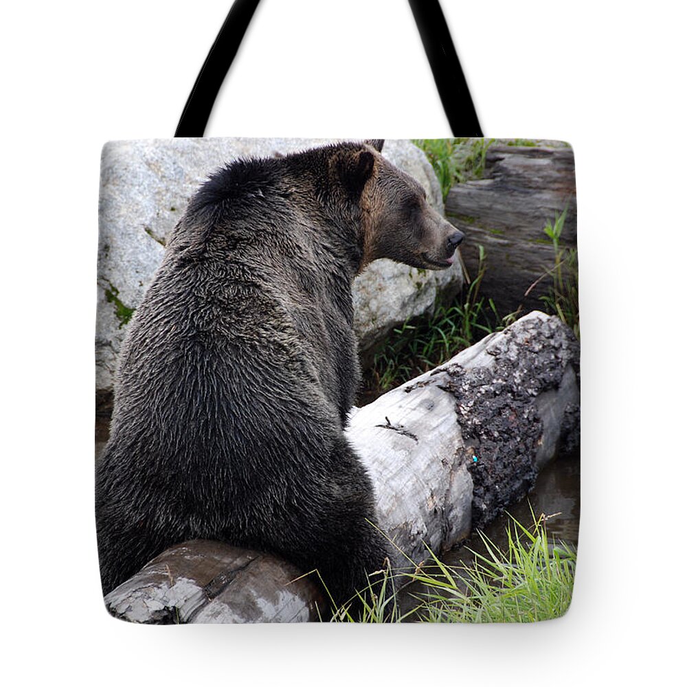 Animals Tote Bag featuring the photograph It ain't what it may look like by John Schneider