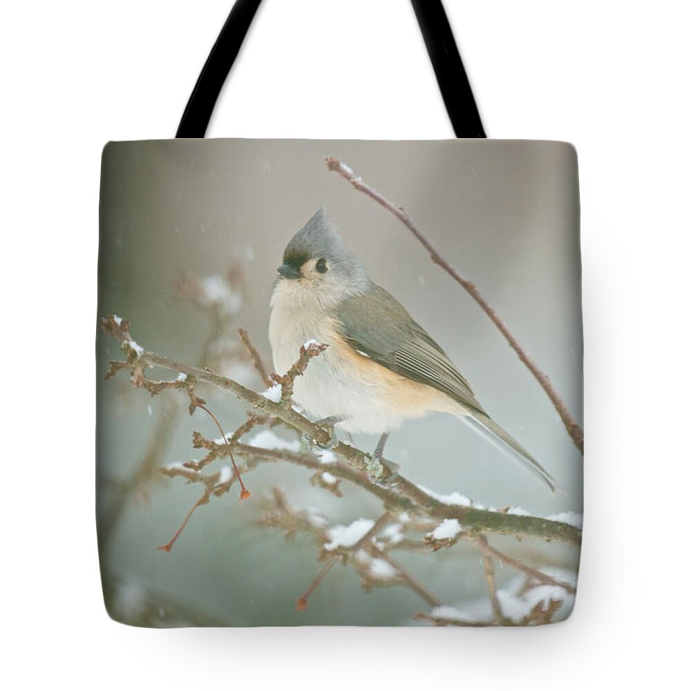 Birds Tote Bag featuring the photograph It May Be Cold But I Still Have My Looks by Kristin Hatt