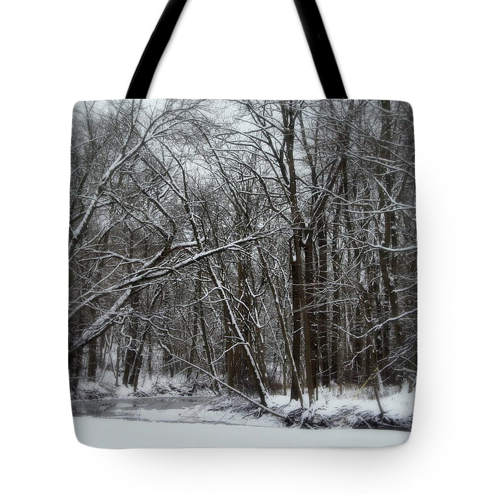 Winter Tote Bag featuring the photograph Its A Beautiful Winter by Kay Novy