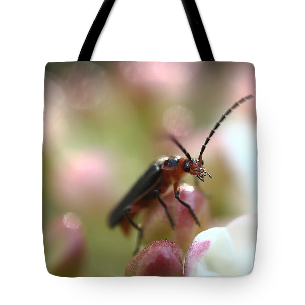 Insect Tote Bag featuring the photograph It's A Bugs World by Michael Eingle