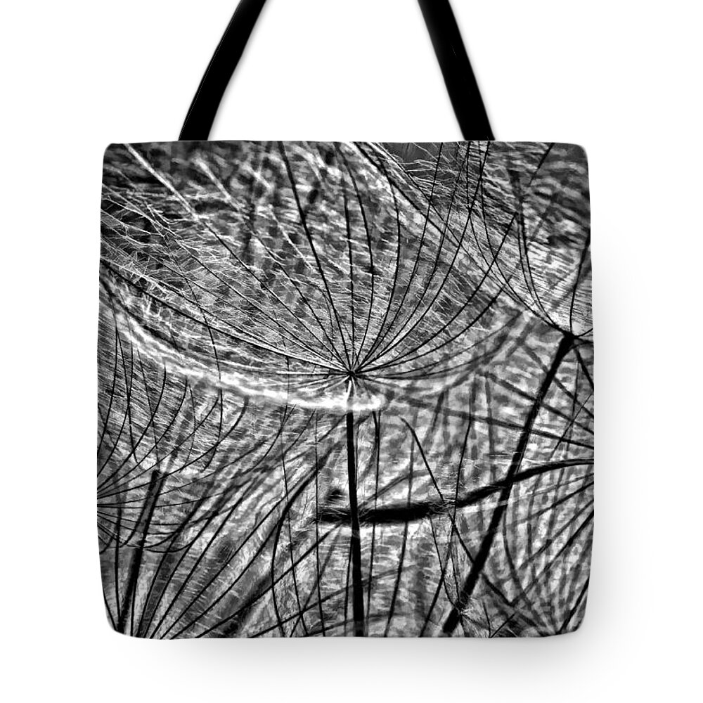 Asteraceae Tote Bag featuring the photograph It's a Jungle in There bw by Steve Harrington
