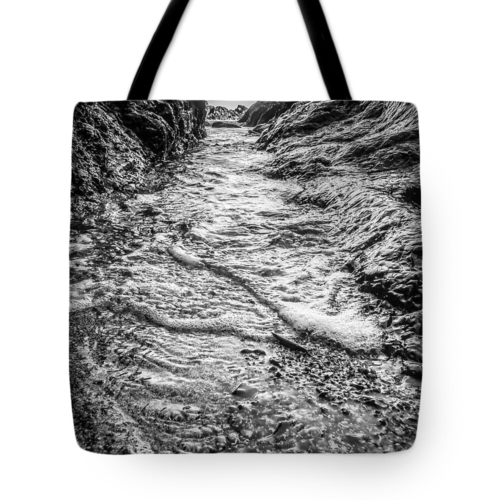 Beach Tote Bag featuring the photograph It's A Rush Browns Beach by Roxy Hurtubise