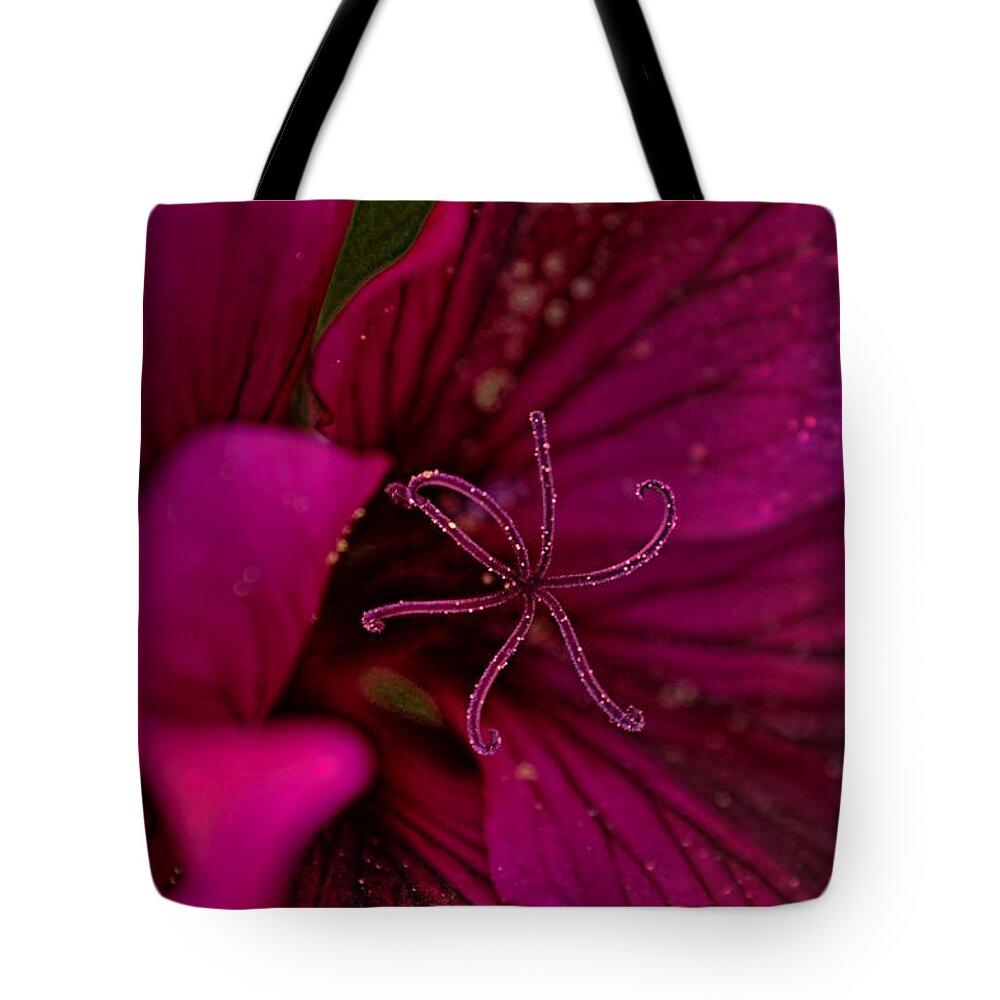 Geraniums Tote Bag featuring the photograph It's Party Time by Peggy Collins