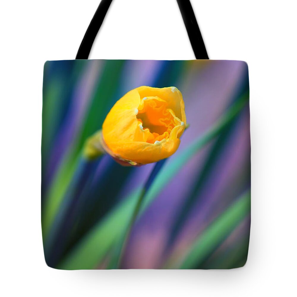 Narcissus Tote Bag featuring the photograph Itsy Bitsy Daffodil Bloom by Bill and Linda Tiepelman