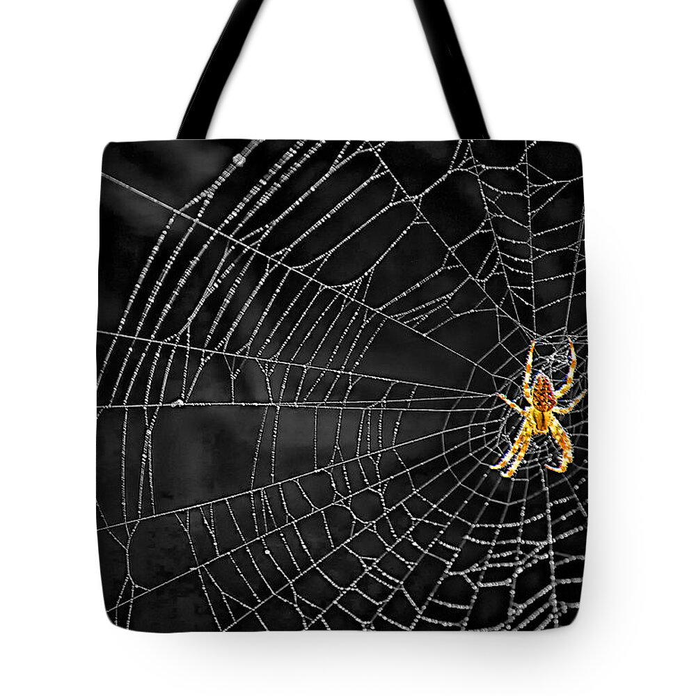 Bugs Tote Bag featuring the photograph Itsy Bitsy Spider My Ass 3 by Steve Harrington