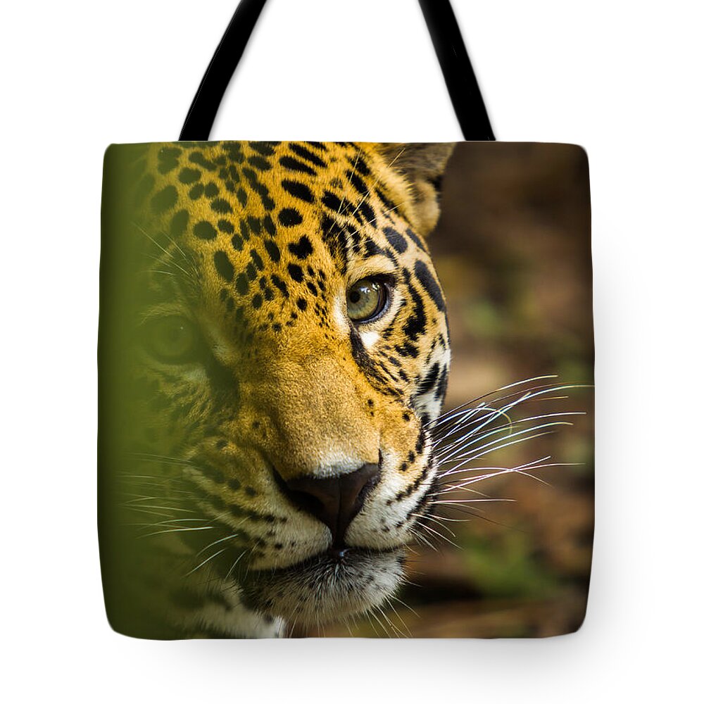 Jaguar Tote Bag featuring the photograph Jaguar by Raul Rodriguez