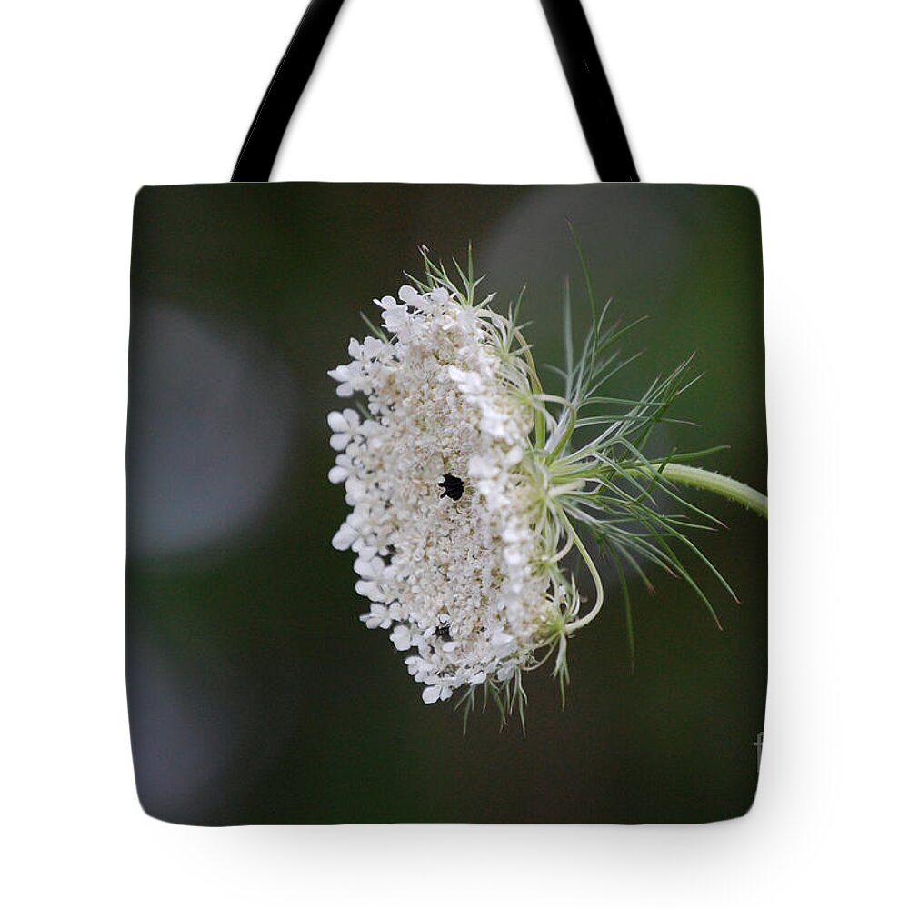 First Star Art Tote Bag featuring the photograph jammer Garden Lace 2 by First Star Art