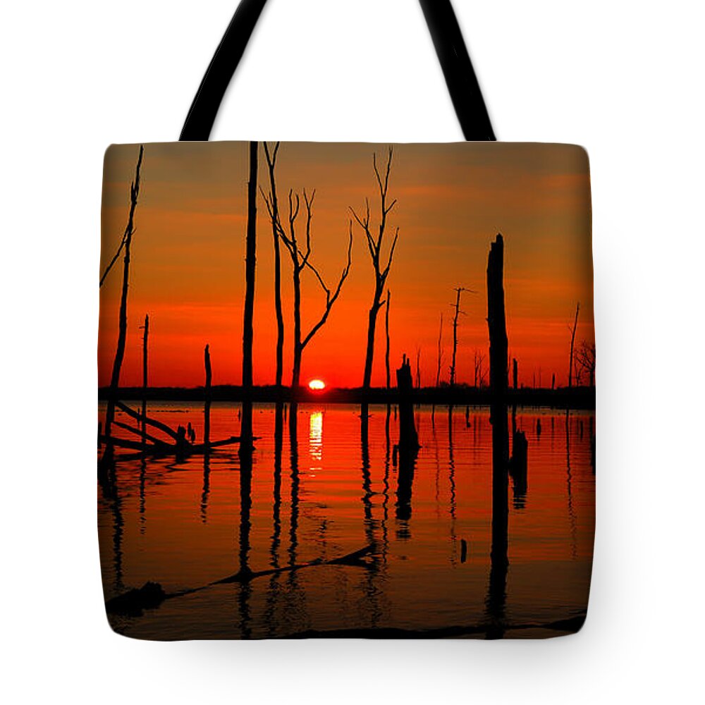 January Sunrise Tote Bag featuring the photograph January Sunrise by Raymond Salani III