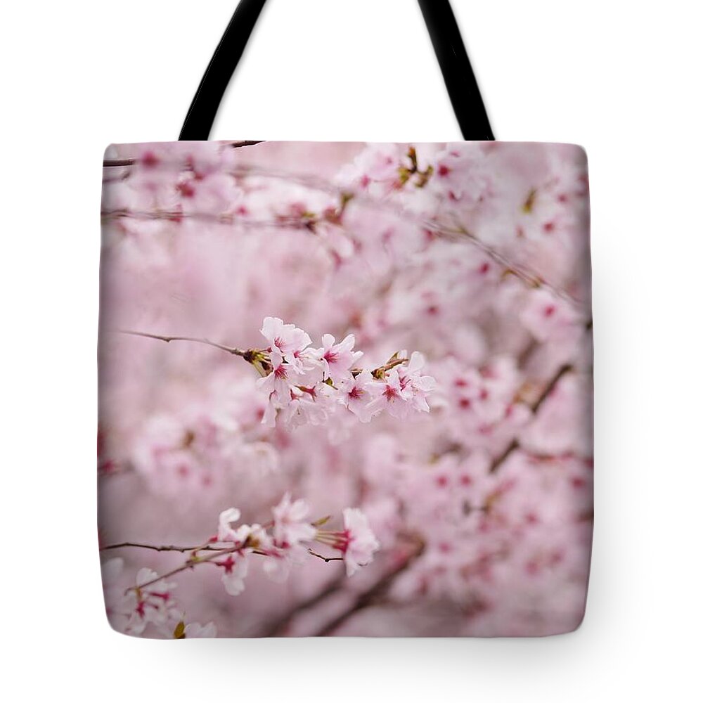 Outdoors Tote Bag featuring the photograph Japanese Cherry Blossoms by Rolfo