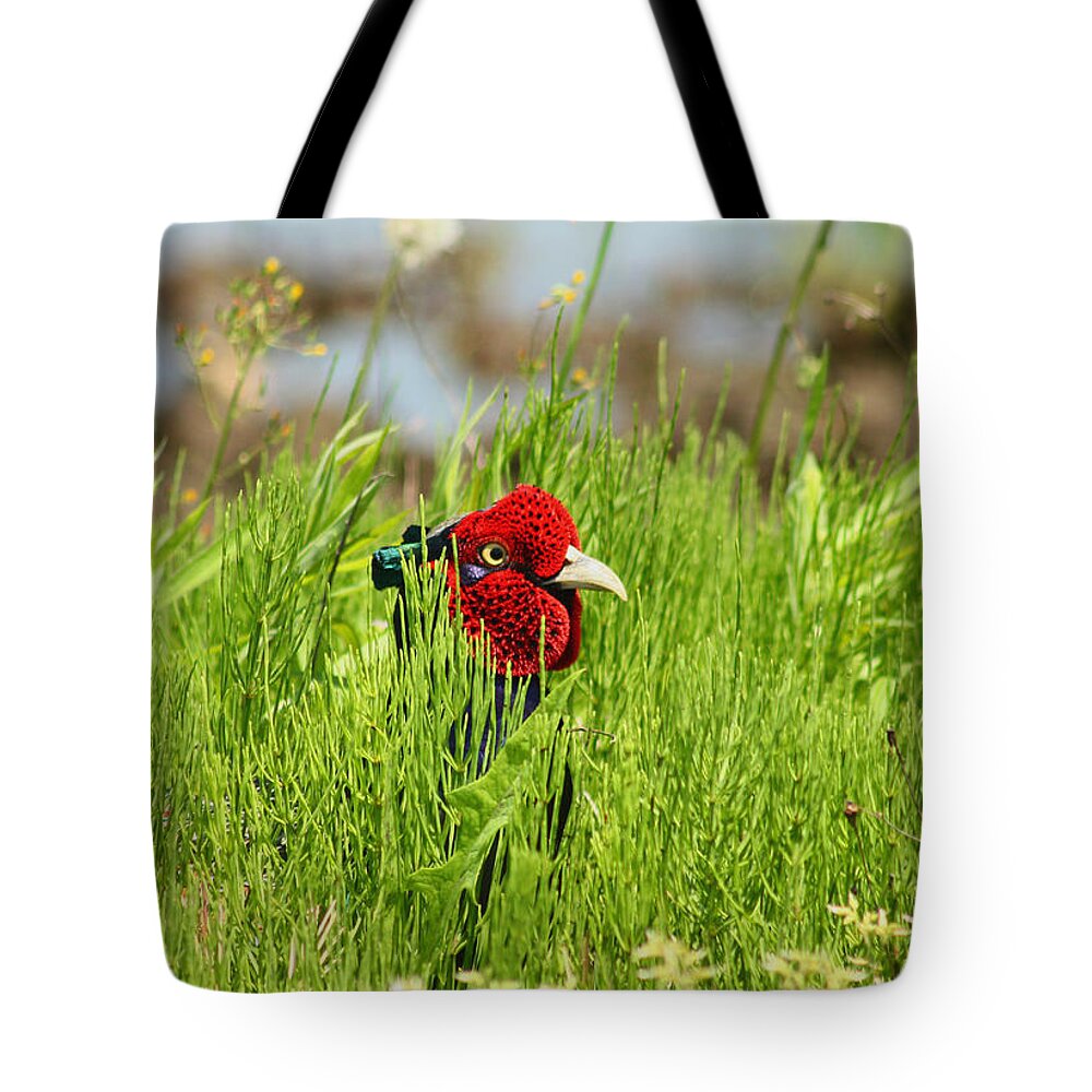 Grass Tote Bag featuring the photograph Japanese Green Pheasant by Damon Bay