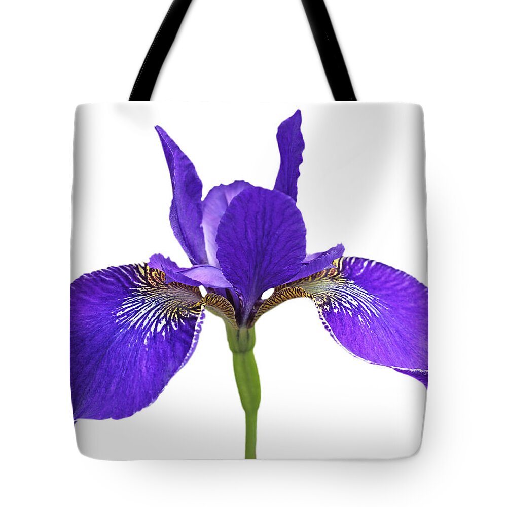 Iris Tote Bag featuring the photograph Japanese Iris Purple White Three by Jennie Marie Schell