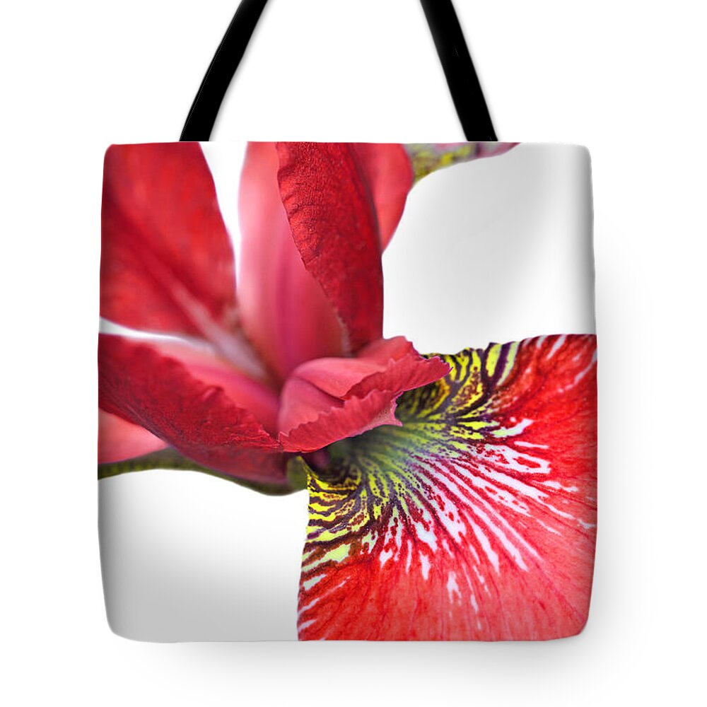 Iris Tote Bag featuring the photograph Japanese Iris Red White Five by Jennie Marie Schell