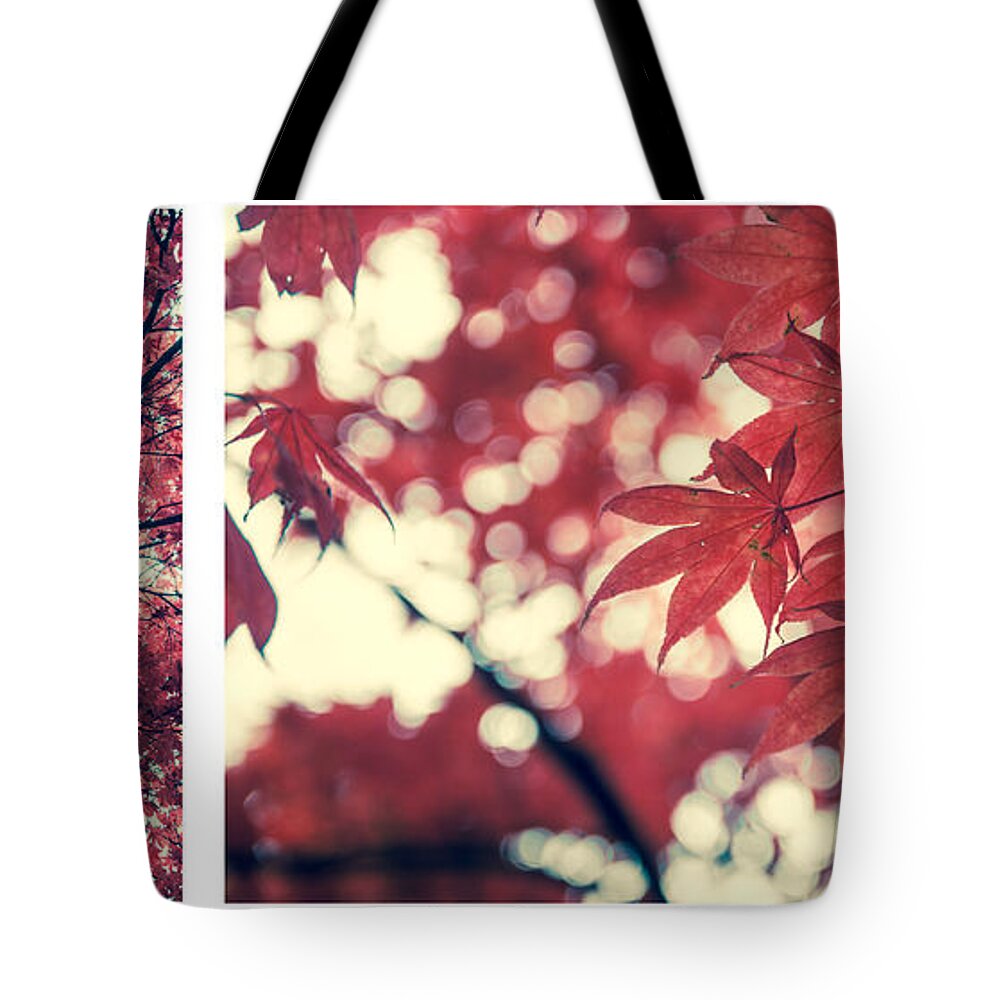 Autumn Tote Bag featuring the photograph Japanese Maple Collage by Hannes Cmarits