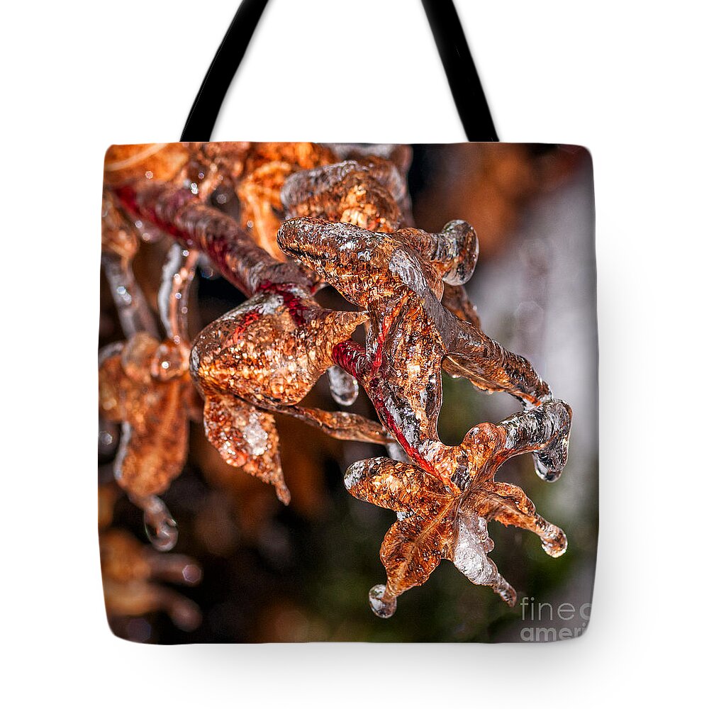 Japanese Tote Bag featuring the photograph Japanese Maple Leaves In Ice by Les Palenik