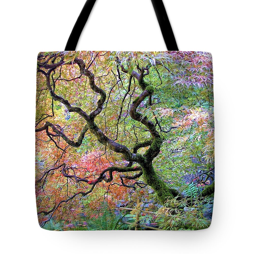 Japanese Maple Tree Tote Bag featuring the photograph Japanese Maple by Wendy McKennon