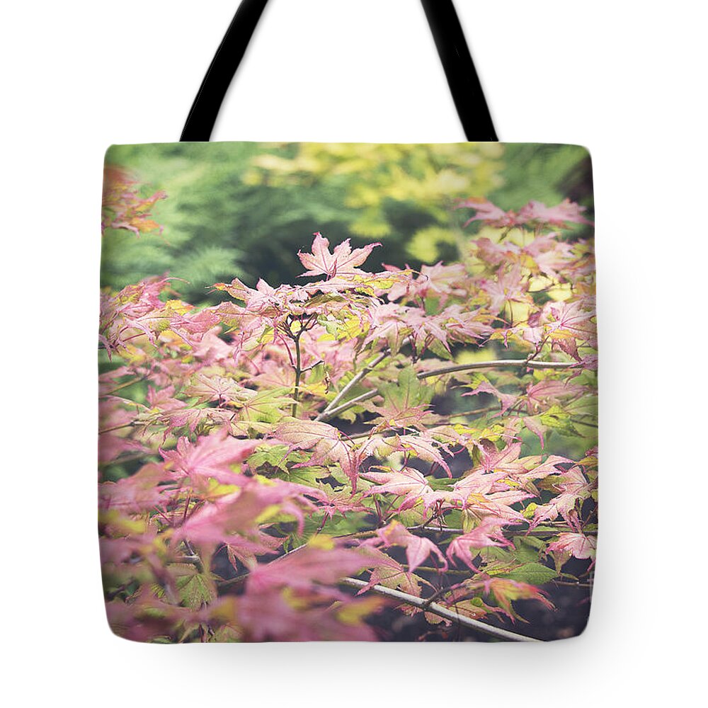 Photography Tote Bag featuring the photograph Japanese maples by Ivy Ho