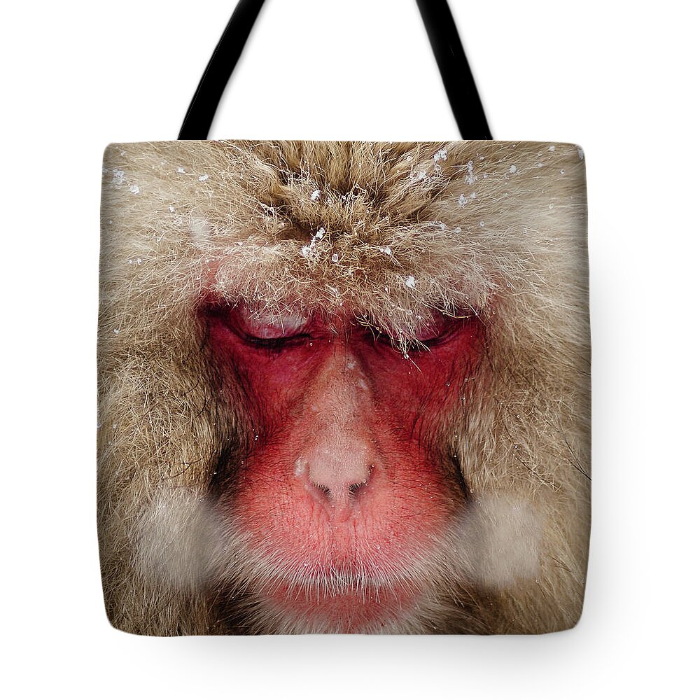 Snow Tote Bag featuring the photograph Japanese Snow Monkey Breathing In Cold by Photography By Martin Irwin
