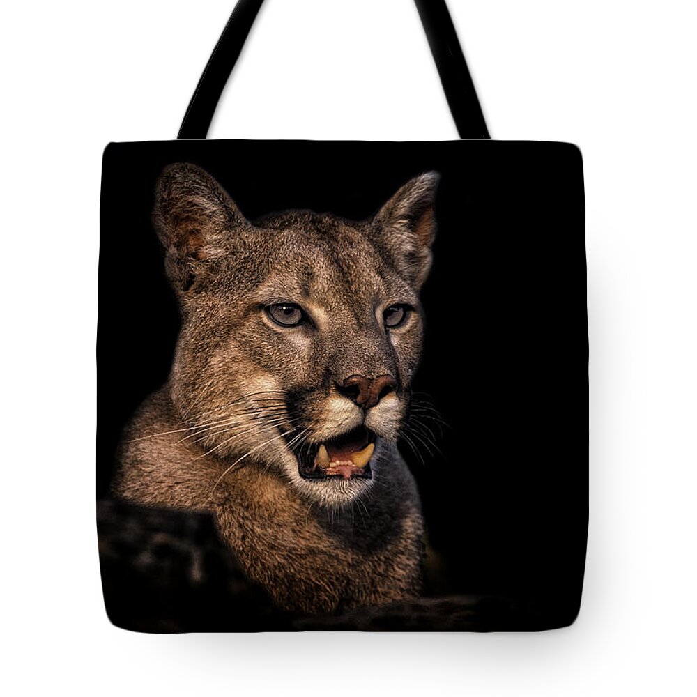 Crystal Yingling Tote Bag featuring the photograph Jaw Dropping by Ghostwinds Photography